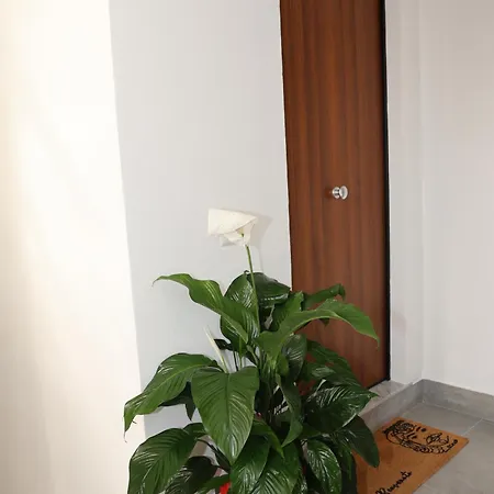 Bed & Breakfast Antico Vicolo 4*